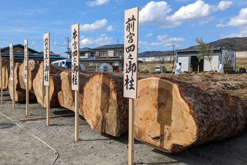 【速報】山出し 写真館（第１弾）